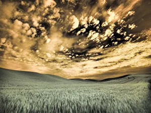 Images Dated 13th September 2021: USA, Washington State, Palouse. wheat field and clouds