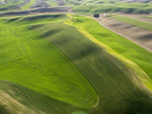 Images Dated 10th June 2015: USA, Washington state, Palouse, Whitman County