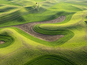 Images Dated 10th June 2015: USA, Washington state, Palouse, Whitman County