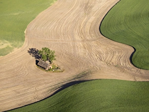 Images Dated 10th June 2015: USA, Washington state, Palouse, Whitman County