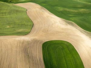 Images Dated 10th June 2015: USA, Washington state, Palouse, Whitman County