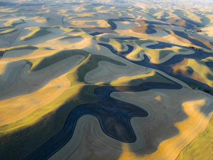 Images Dated 30th July 2015: USA, Washington state, Palouse, Whitman County