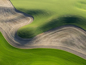 Images Dated 10th June 2015: USA, Washington state, Palouse, Whitman County