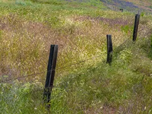 New Images August 2022 Prints: USA, Washington State, Palouse with wooden fence posts in grass field