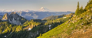 USA. Washington State. Panorama of Mt. Adams, Goat Rocks and Double Peak from