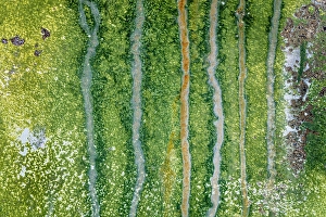 Weathered Prints: USA, Washington State, Port Townsend
