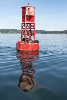 Images Dated 31st May 2019: USA, Washington State, Puget Sound. Dali-esque reflection