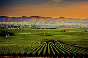 Horse Heaven Hills Prints: USA, Washington State, Red Mountain