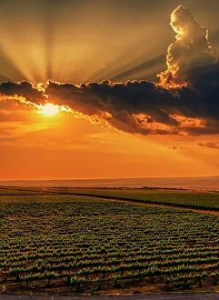 New Images March 2024 Prints: USA, Washington State, Red Mountain