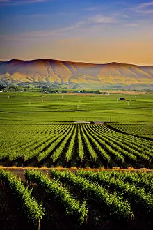 New Images March 2024 Prints: USA, Washington State, Red Mountain