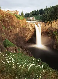 USA, Washington State, Salish Lodge and English Daisies overlook the 270 foot faller