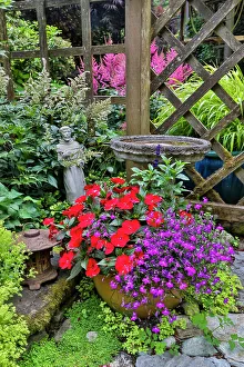 Yard Prints: USA, Washington State, Sammamish. Garden in summer bloom. (PR)