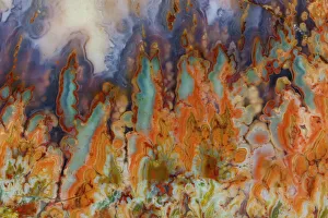 USA, Washington State, Sammamish. Close-up details of Prudent Man Agate