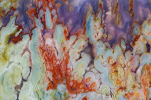 USA, Washington State, Sammamish. Close-up details of Prudent Man Agate