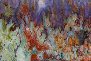 USA, Washington State, Sammamish. Close-up details of Prudent Man Agate