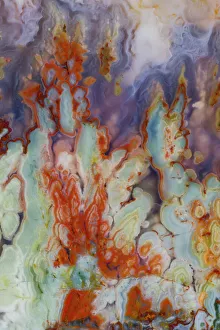 USA, Washington State, Sammamish. Close-up details of Prudent Man Agate
