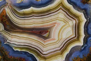 Banded Prints: USA, Washington State, Sammamish. Close-up banded agate