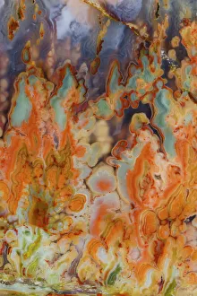 USA, Washington State, Sammamish. Close-up details of Prudent Man Agate