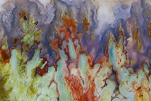 USA, Washington State, Sammamish. Close-up details of Prudent Man Agate