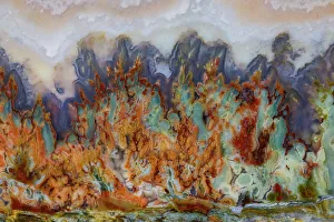 USA, Washington State, Sammamish. Close-up details of Prudent Man Agate
