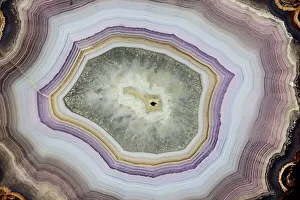 Banded Prints: USA, Washington State, Sammamish. Close-up banded agate