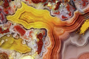 Banded Prints: USA, Washington State, Sammamish. Close-up banded agate