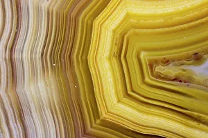 Banded Prints: USA, Washington State, Sammamish. Close-up banded agate