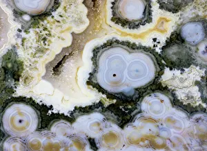 Jasper Prints: USA, Washington State, Sammamish. Ocean jasper close-up