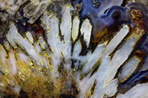 Mineral Prints: USA, Washington State, Sammamish. Close-up pattern design of agate