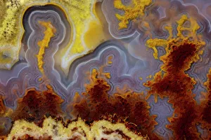 Maroon Prints: USA, Washington State, Sammamish. Close-up of Cathedral Agate