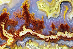 Maroon Prints: USA, Washington State, Sammamish. Close-up of Cathedral Agate