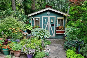 Yard Prints: USA, Washington State, Sammamish. Garden and shed with potted flowers and hosta. (PR)