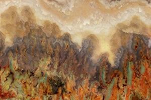 Hollice Looney Prints: USA, Washington State, Sammamish. Prudent Man agate from Idaho