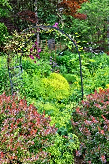 Images Dated 7th September 2024: USA, Washington State, Sammamish. Garden in bloom in sunny location