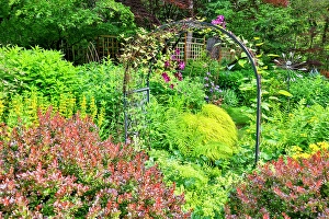 Images Dated 7th September 2024: USA, Washington State, Sammamish. Garden in bloom in sunny location