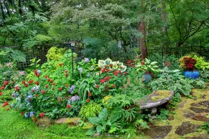 Images Dated 7th September 2024: USA, Washington State, Sammamish. Garden in bloom in sunny location