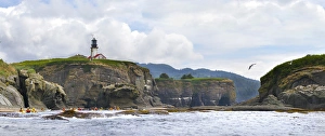 Images Dated 13th August 2011: USA. Washington state. Sea Kayakers paddle beneath the lighthouse on Tatoosh Island