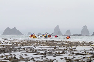 Images Dated 18th July 2010: USA, Washington State. Sea kayakers paddling toward Graveyard of the Giants sea stacks