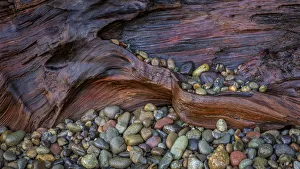 Pebble Prints: USA, Washington State, Seabeck. Wet driftwood and beach rocks