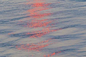 Images Dated 4th September 2017: USA, Washington State, Seabeck. Sunset reflected on Hood Canal