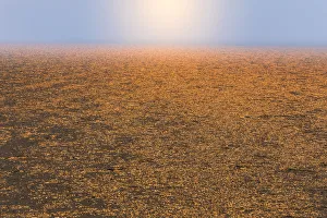 Smoke Prints: USA, Washington State, Seabeck. Smoke-filled sunset reflected on Hood Canal waters