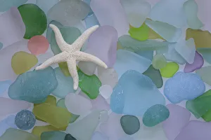 Pebble Prints: USA, Washington State, Seabeck. Starfish and beach glass close-up