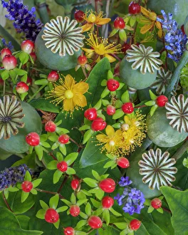 USA, Washington State, Seabeck. Colorful flower arrangement