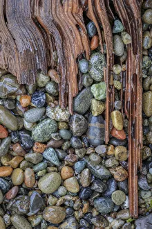 Images Dated 29th April 2021: USA, Washington State, Seabeck. Panoramic of driftwood and beach rocks