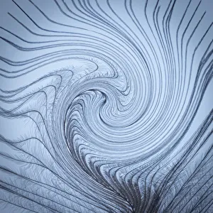 Images Dated 1st November 2021: USA, Washington State, Seabeck. Downy feather with a twist