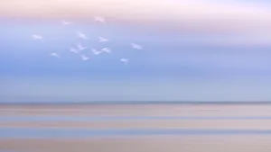 Pastel Prints: USA, Washington State, Seabeck. Pastel sunrise panoramic over Hood Canal