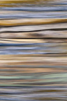 Aqua Prints: USA, Washington State, Seabeck. Abstract of tree trunk and limbs