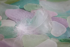 Pastel Prints: USA, Washington State, Seabeck. Feather and beach glass close-up