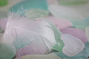 Images Dated 19th December 2022: USA, Washington State, Seabeck. Feather and beach glass close-up