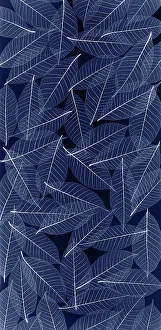 Images Dated 20th December 2022: USA, Washington State, Seabeck. Black and white pattern of skeletonized leaves
